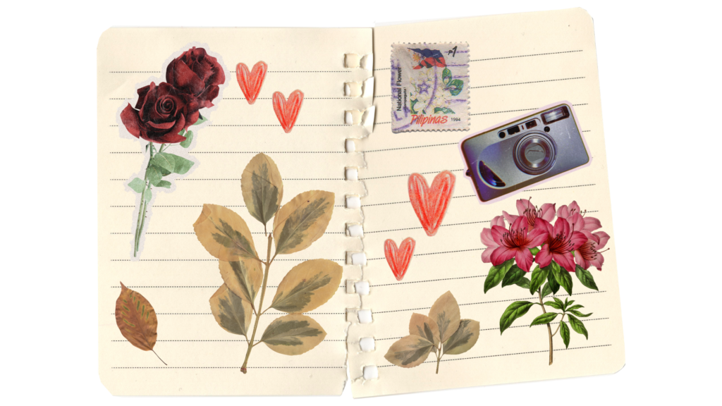 DIY - Faça seu próprio diário ou fotolivro e fortaleça seu autoconhecimento DIY - Faça seu próprio diário ou fotolivro e fortaleça seu autoconhecimento