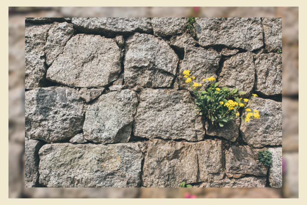 Como navegar pelos grandes desafios da vida: Lições de autoconhecimento e resiliência