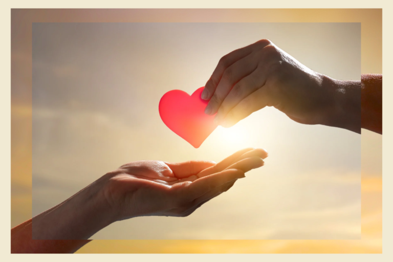 A arte de servir: por que o voluntariado faz mais bem a quem doa do que a quem recebe A arte de servir: por que o voluntariado faz mais bem a quem doa do que a quem recebe